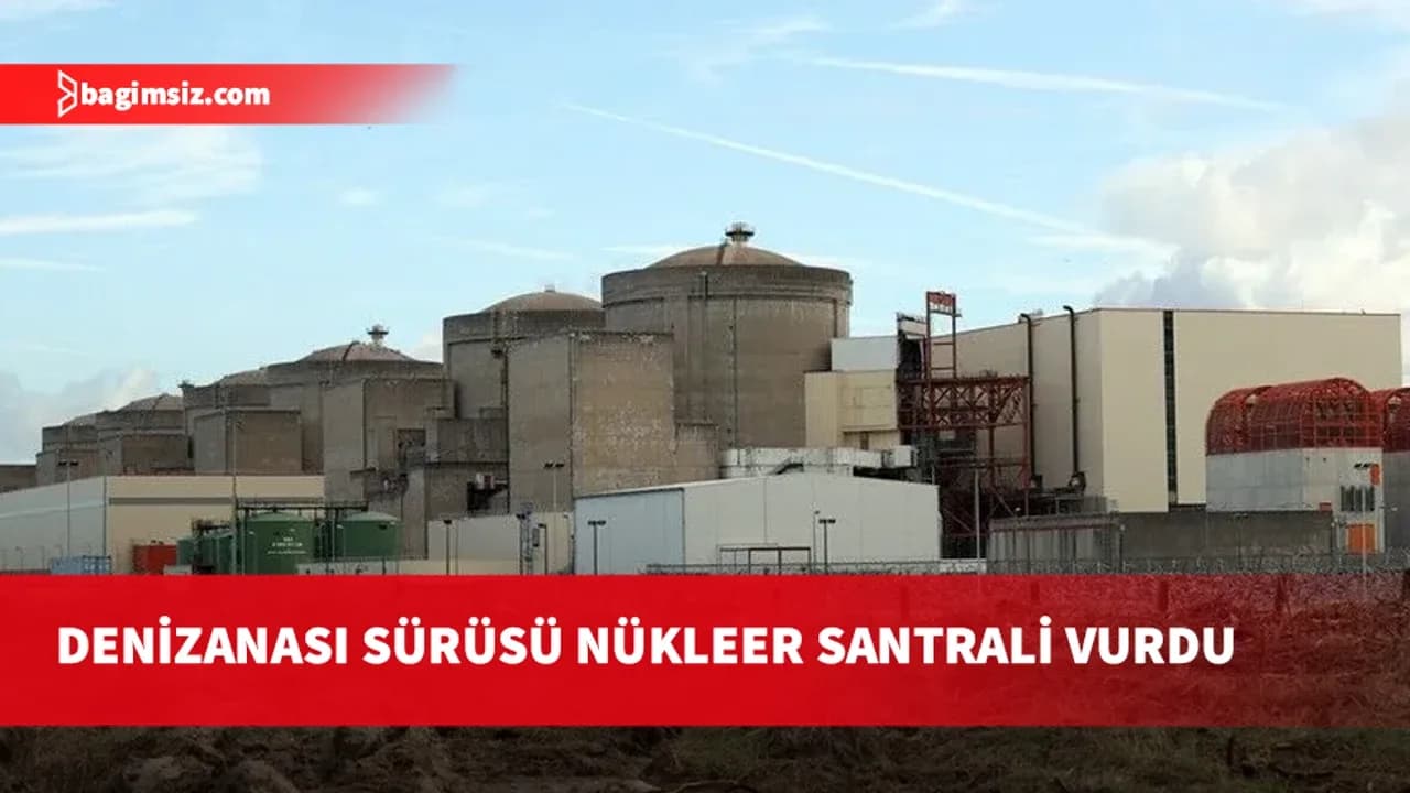 Fransa'da denizanası sürüsü nedeniyle 3 nükleer reaktörün faaliyetleri durduruldu