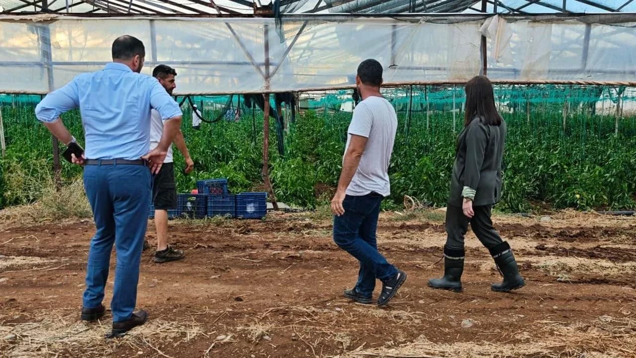 Sıla Usar İncirli: Hasar tespit çalışmaları ciddiyetle ve sonuç üretecek şekilde yapılmalı