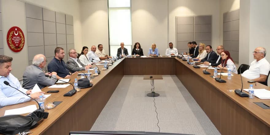 Seçim ve Halkoylaması (Değişiklik) Yasa Önerisi, oy çokluğuyla komiteden geçti