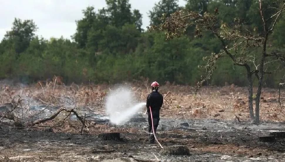 Fransa'nın Lozere vilayetinde ormanlık alanda çıkan yangında 250 hektarlık alan kül oldu
