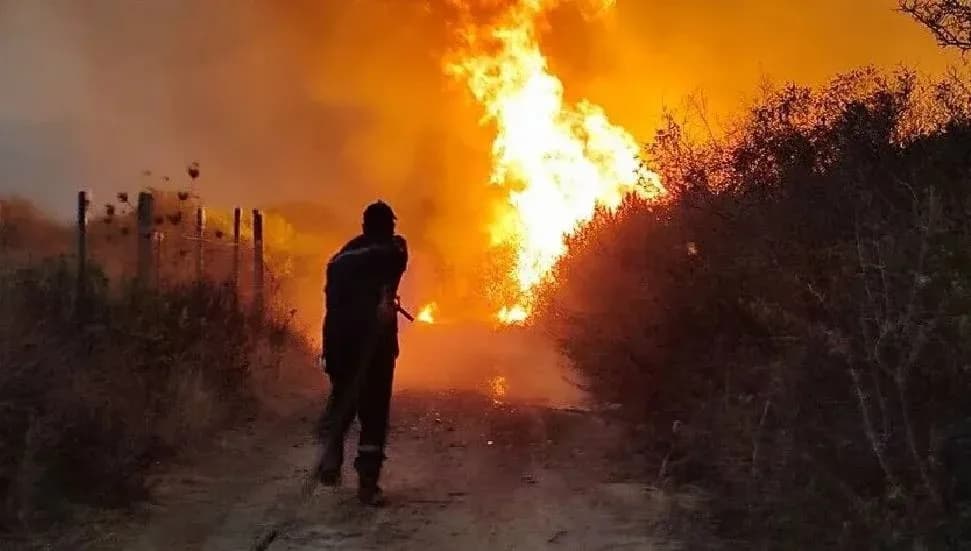 Cezayir'de son 24 saatte çıkan 174 yangından 64'ü devam ediyor
