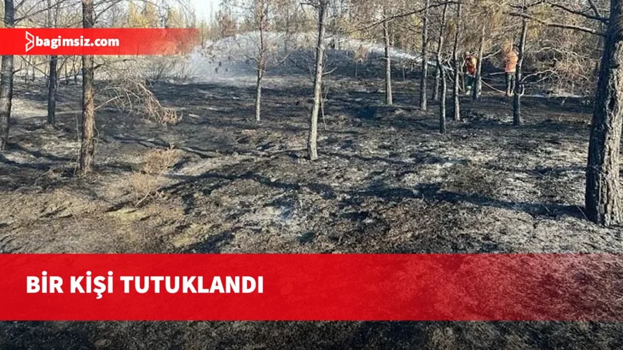 Ergenekon-Tirmen Anayolu’nda yangın