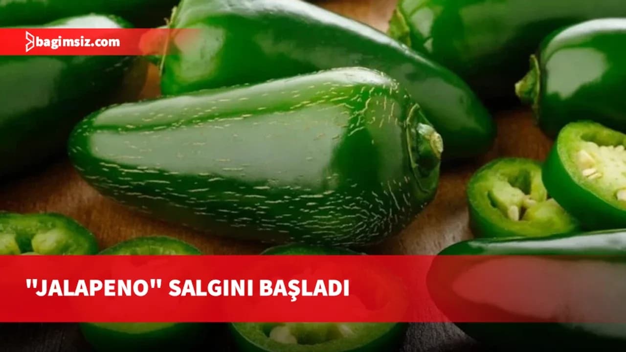 "Jalapeno" salgını başladı: Menülerden kaldırılıyor