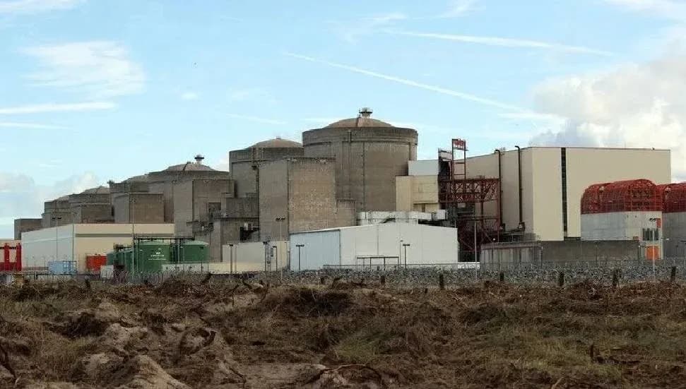 Fransa'da denizanası sürüsü nedeniyle 3 nükleer reaktörün faaliyetleri durduruldu