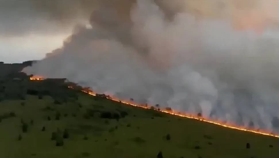 Belçika ve Yunanistan'da orman yangını
