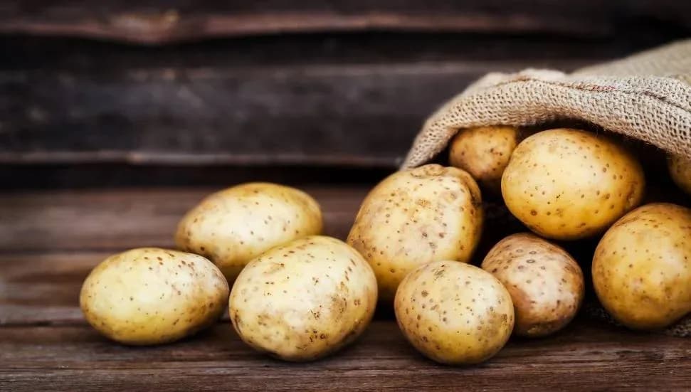 Rum tarım örgütlerinden patates üreticilerine su verilmesi talebi