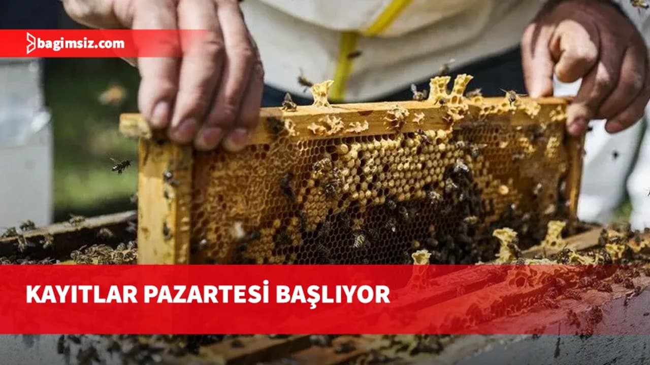 Arıcılar için Veteriner Dairesi’ne kayıtlar pazartesi başlıyor
