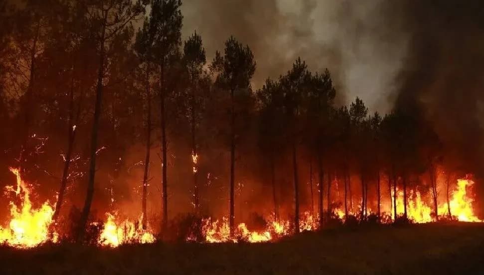 Sırbistan'daki orman yangınlarına müdahale sürüyor
