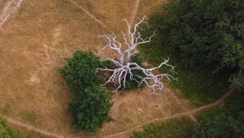 İsviçre, El Nino hava olayıyla birlikte kuraklığın daha sık yaşanabileceğini bildirdi