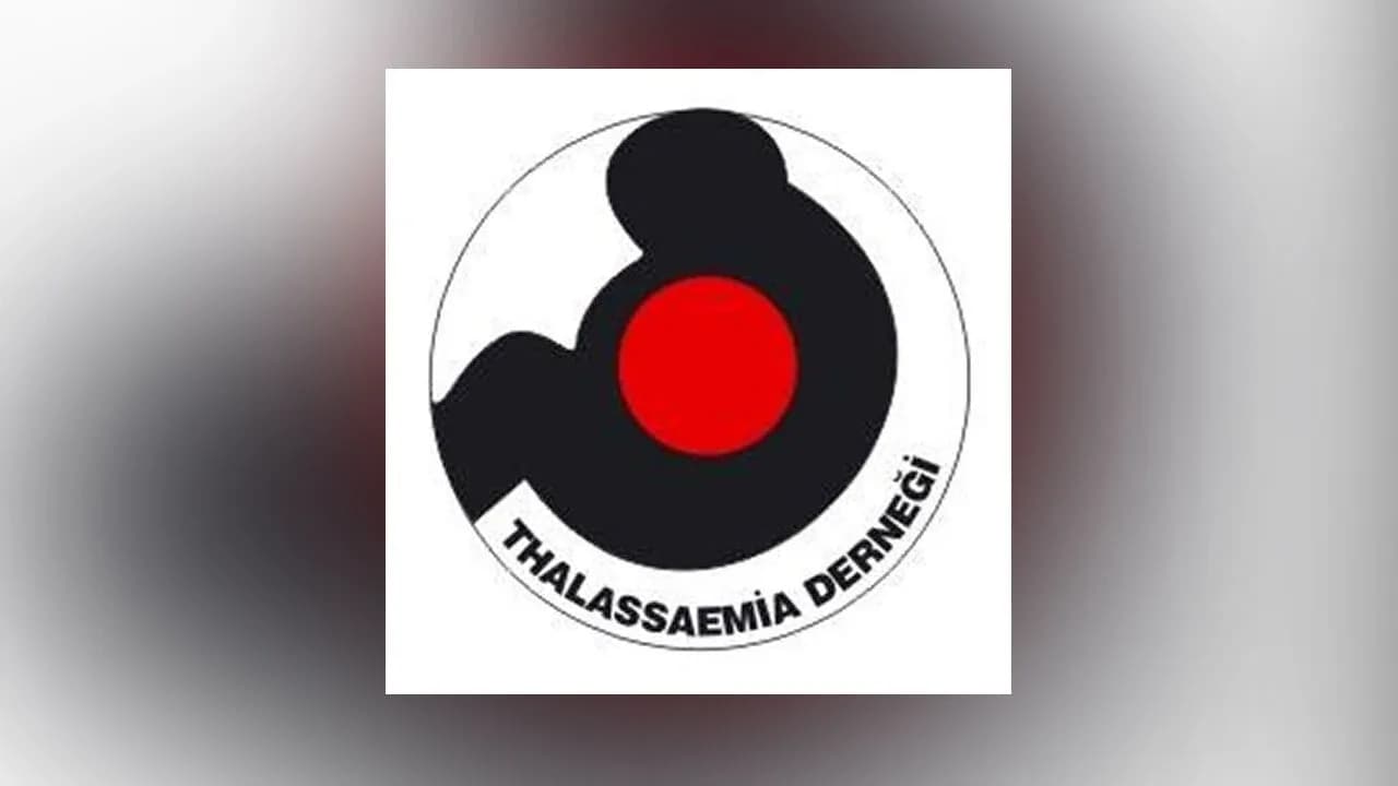 Kuzey Kıbrıs Thalassaemia Derneği’nden farkındalık için yaz kampı