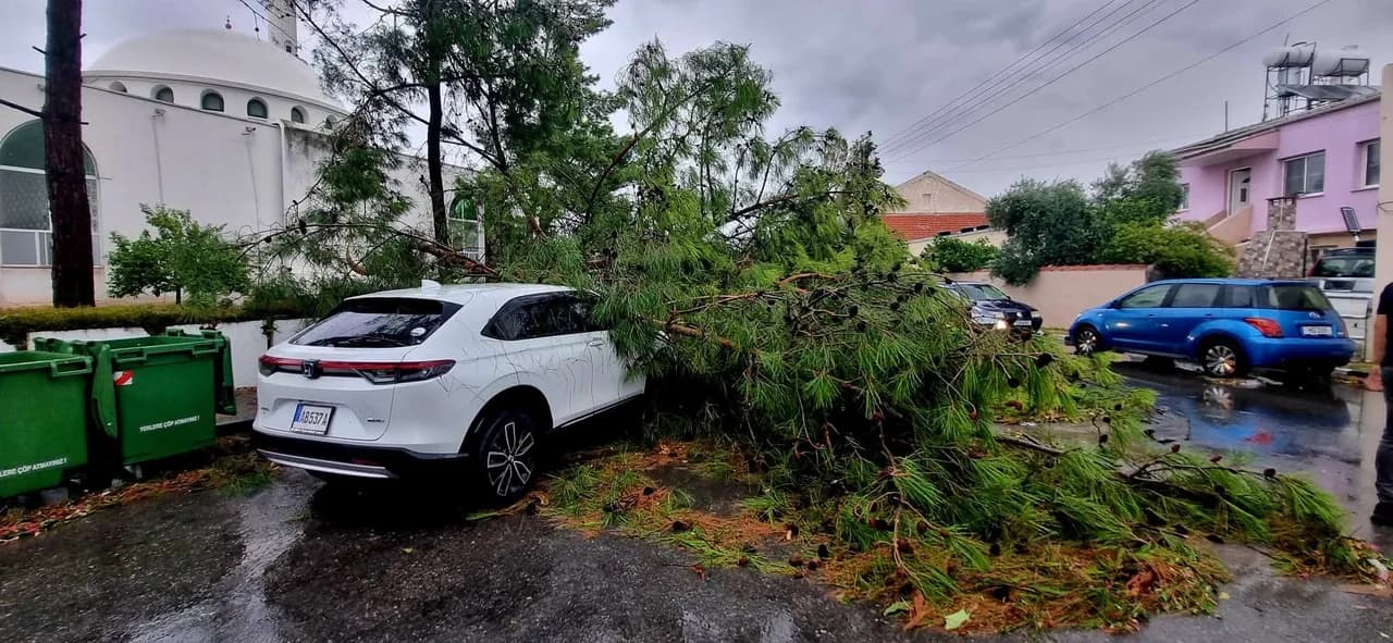 Fırtına Kıbrıs’ı vurdu: Ağaçlar devrildi, yollar kapandı, Larnaka açıklarında hortum oluştu
