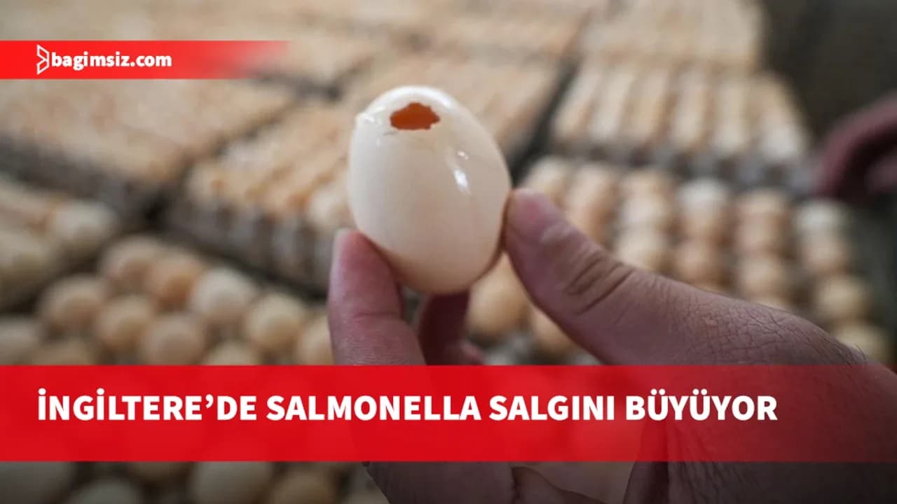 İngiltere'de salmonella salgınında 1 kişi öldü, 207 vaka tespit edildi