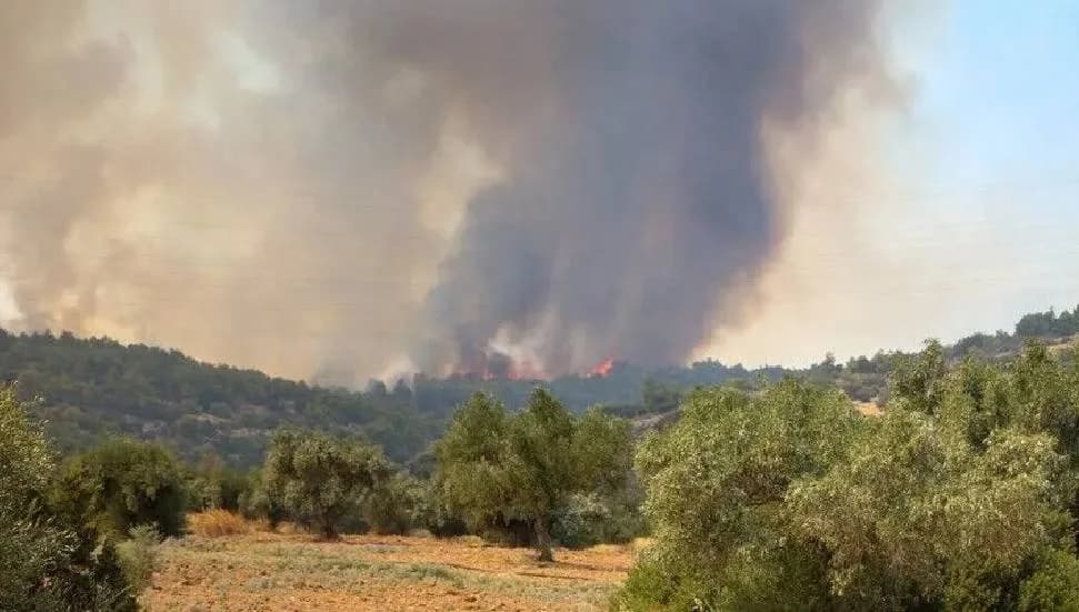 Yunanistan'ın Yanya ilinin kuzeyindeki Kleftis bölgesinde orman yangını çıktı