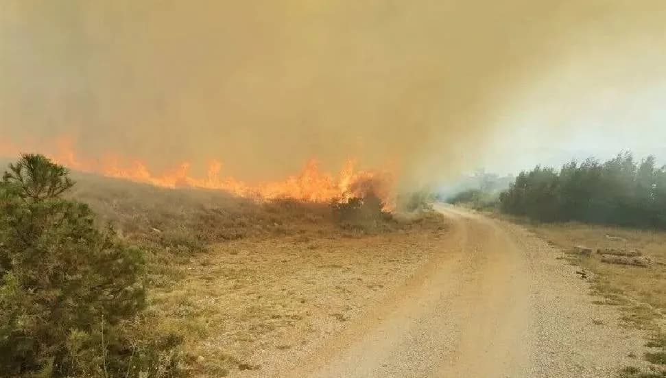 Hırvatistan'ın Omis kentinde çıkan orman yangını rüzgarın etkisiyle yerleşim yerlerine yayıldı