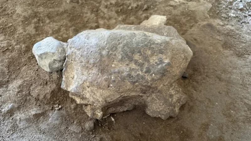 Bilecik’teki Gedikkaya Tepesi’nde 15 bin yıllık kaplumbağa heykelcikleri bulundu: