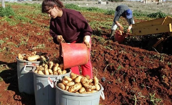 Acil yardım çağrısı
