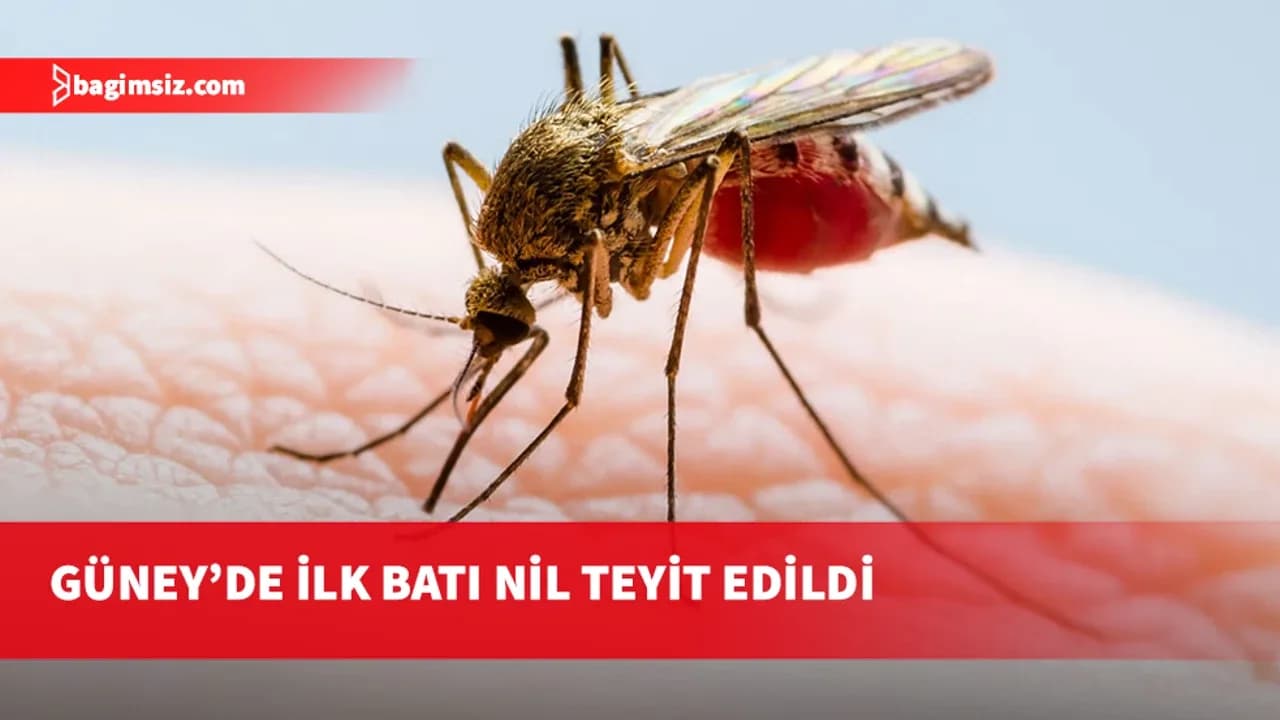 Batı Nil virüsü tehlikesi kapıya dayandı!