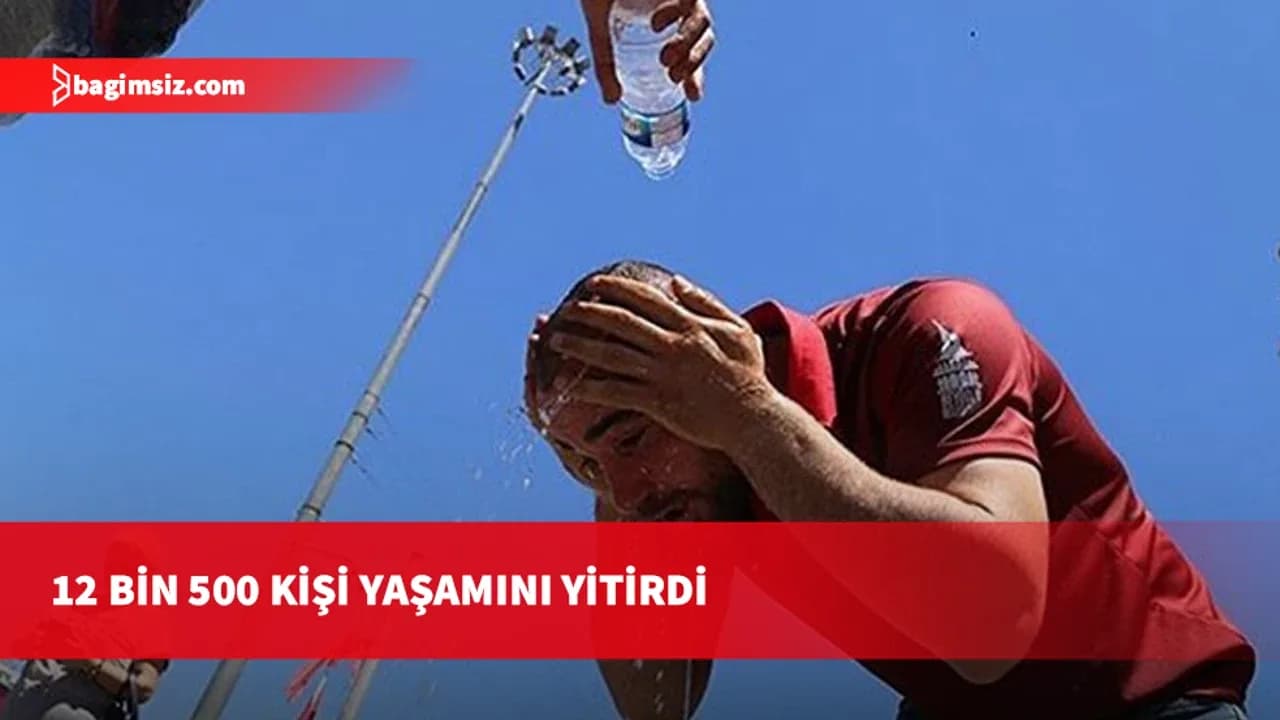 Almanya'da aşırı sıcaklar: 12 bin 500 kişi hayatını kaybetti