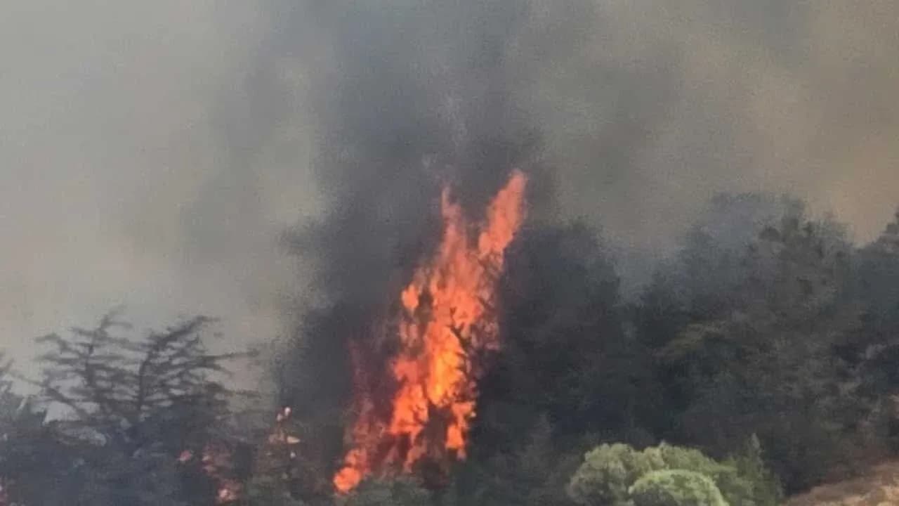 Yamaçköy-Tirmen Arasında Ormanlık Alanda Yangın