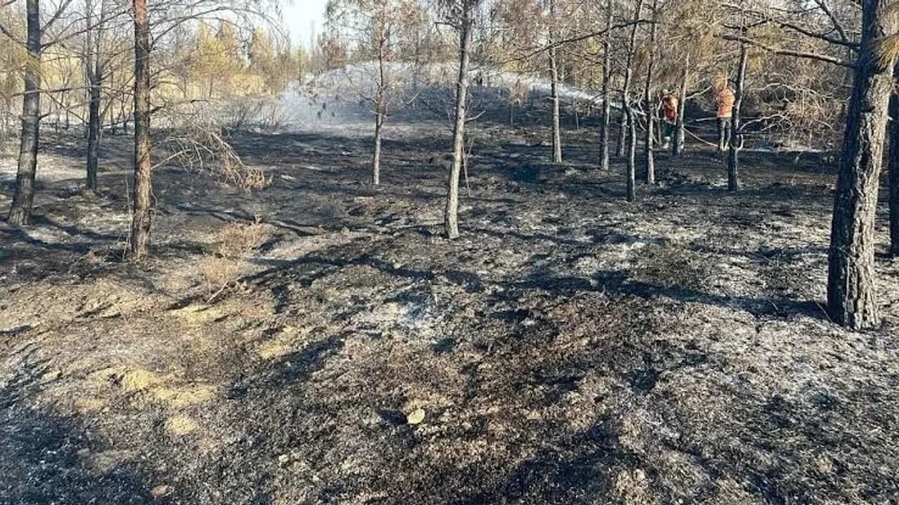 Ergenekon-Tirmen Anayolu’nda yangın: Bir kişi tutuklandı