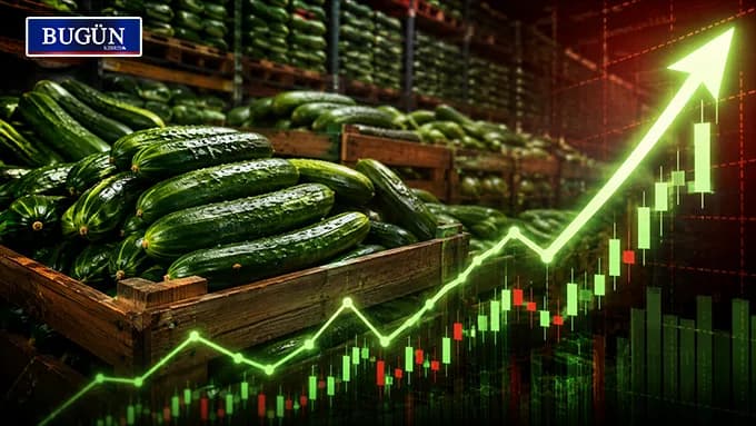 Temmuz enflasyonu yüzde 2,90: Salatalığın fiyatı bir ayda yüzde 158,99 arttı