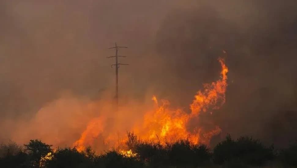 Bulgaristan ve Bosna Hersek'te orman yangınlarına müdahale ediliyor