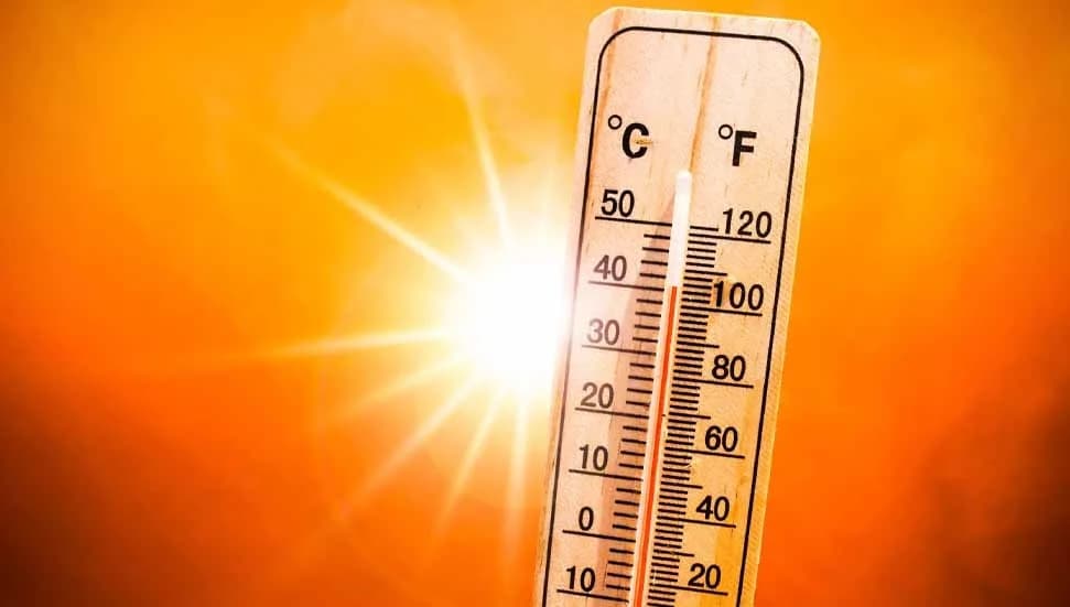 El Nino önümüzdeki yılın sonuna kadar 50 milyon kişiyi akut açlığa sürükleyebilir