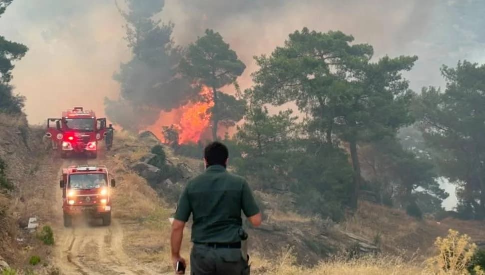 Aydın'daki orman yangınına müdahale sürüyor