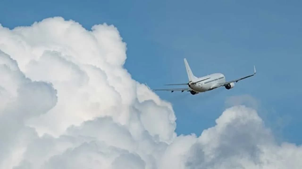 ABD'de charter uçağının düşmesi sonucu 8 kişi yaşamını yitirdi