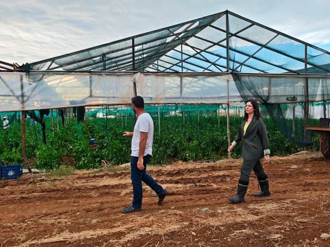 İncirli fırtınanın vurduğu Lefke ve Güzelyurt’ta: Zararlar hızla tazmin edilmeli