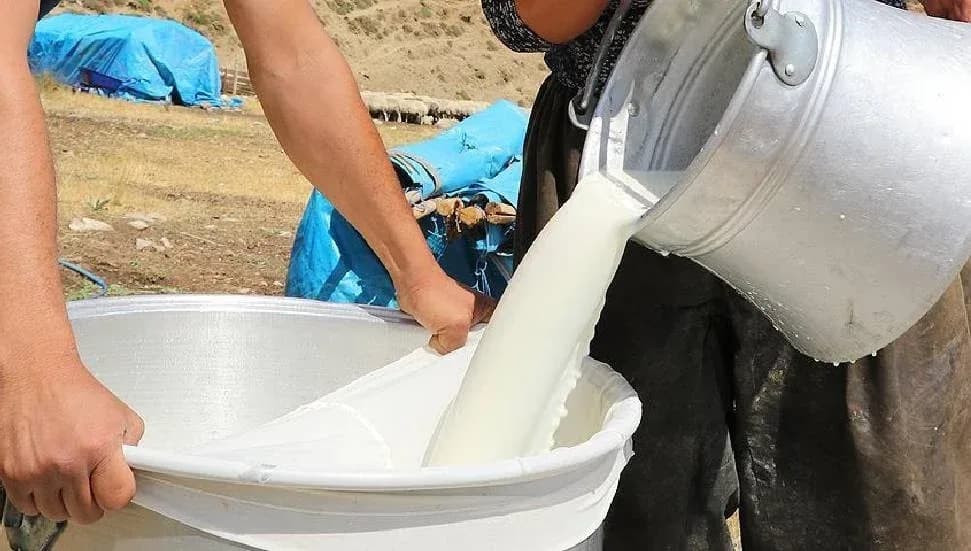 Süt bedelleri ödendi: 210 milyon 943 bin 127 TL ödeme yapıldı
