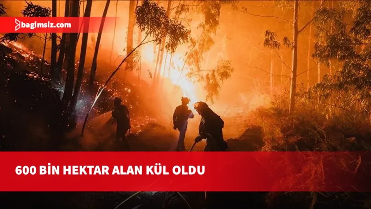 Avrupa'daki orman yangınları 600 bin hektardan fazla alanı etkiledi