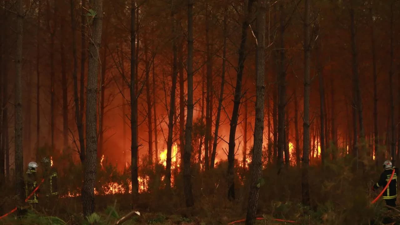 Fransa’da orman yangını riski nedeniyle 50 vilayette turuncu alarma geçildi