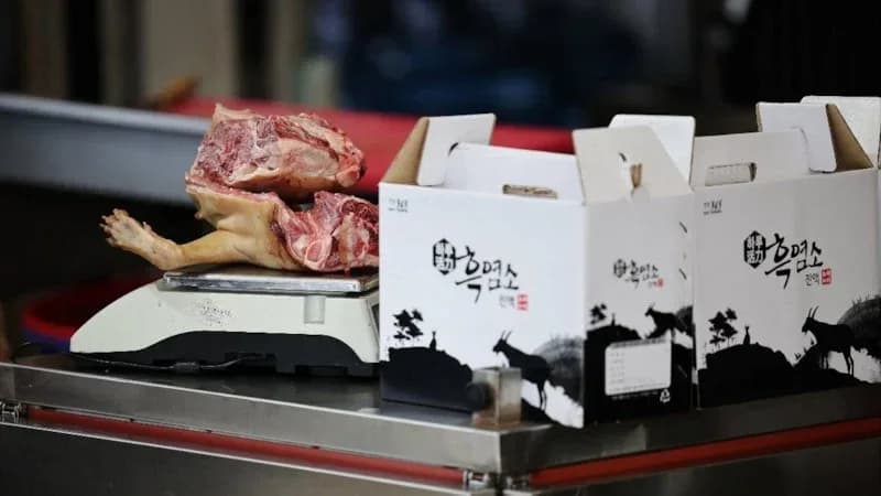 Güney Kore’de köpek eti yasağı öncesi vatandaşlar restoranlara akın etti