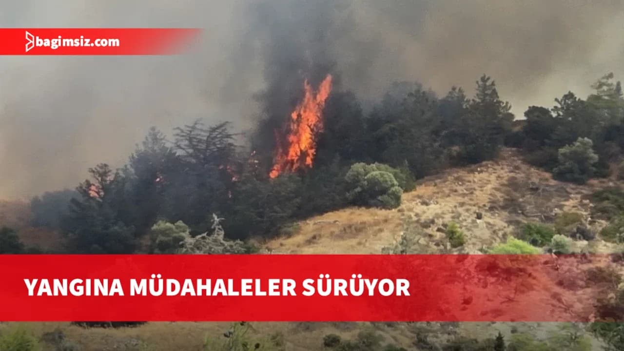 Yamaçköy-Tırmen arasında ormanlık alanda yangın