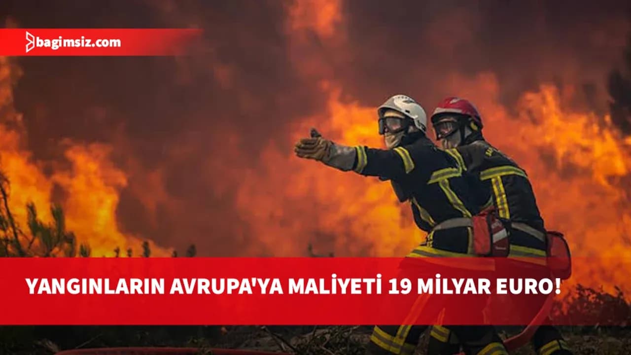 Avrupa'da orman yangınları: 530 bin hektardan fazla alan kaybedildi