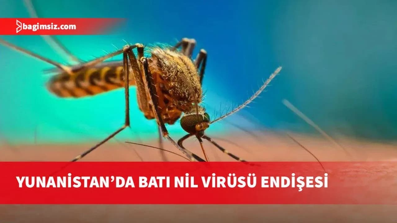 Yunanistan'da Batı Nil virüsü 2018 rekorunu aşabilir
