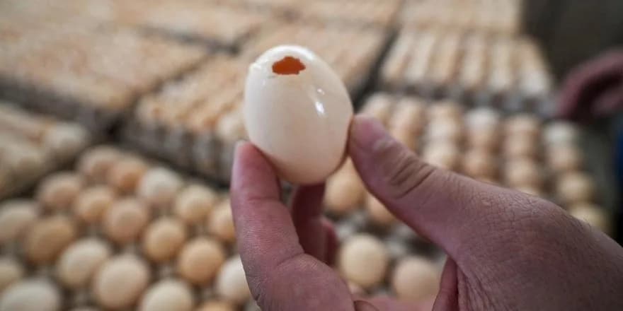 İngiltere'de salmonella salgınında 1 kişi öldü, 207 vaka tespit edildi