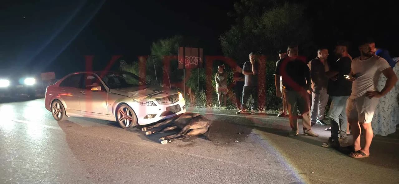 Yeşilkoy–Yenierenköy yolunda kaza: Aniden yola çıkan eşeğe araç çarptı!