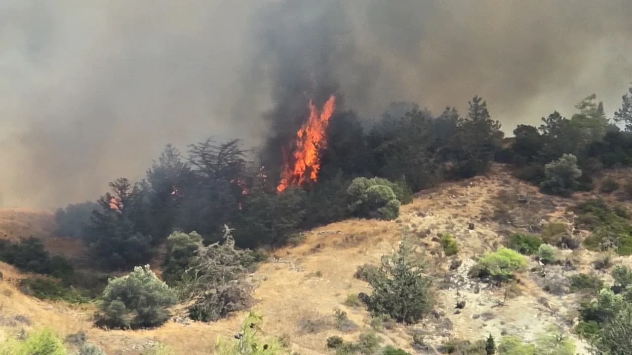Yamaçköy-Tirmen arasında orman yangını: Helikopterle müdahale ediliyor!