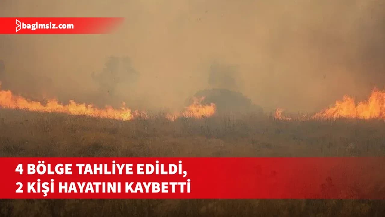 Yunanistan'ın Salamina Adası'nda orman yangını