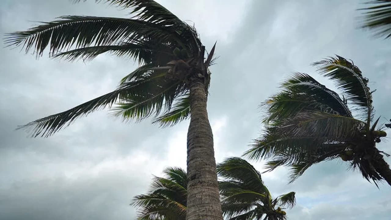 Meteoroloji’den fırtına uyarısı: Rüzgar 74 kilometreye ulaşacak
