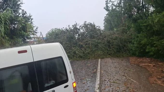 Fırtınada tarihi rekor: Gemikonağı’nda rüzgar 182 kilometreye ulaştı