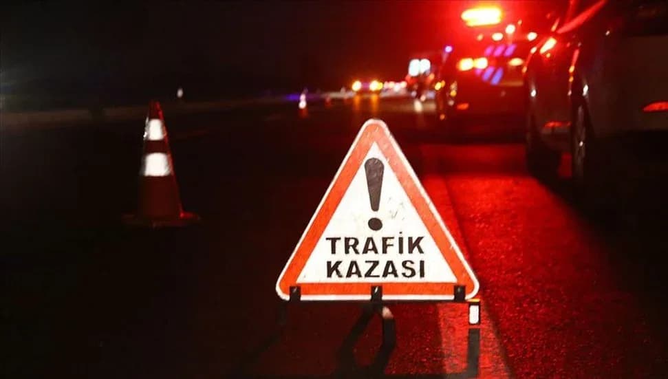 Yeşilköy-Erenköy ana yolunda kaza: Aracın çarptığı eşek telef oldu