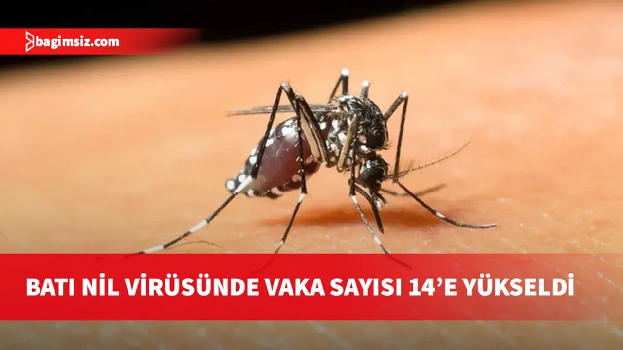 üney Kıbrıs’ta Batı Nil Virüsü vakaları 14’e çıktı