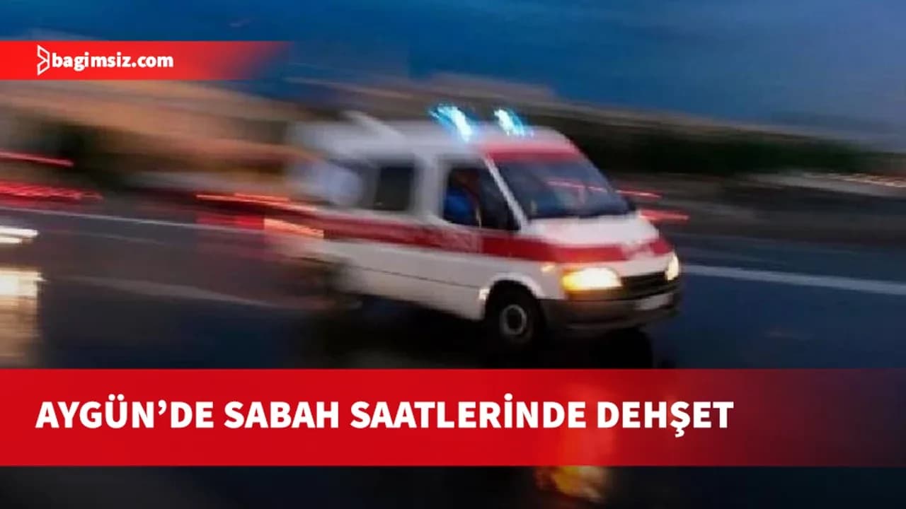 Aygün’de 61 yaşındaki kadın bıçaklanarak hayatını kaybetti