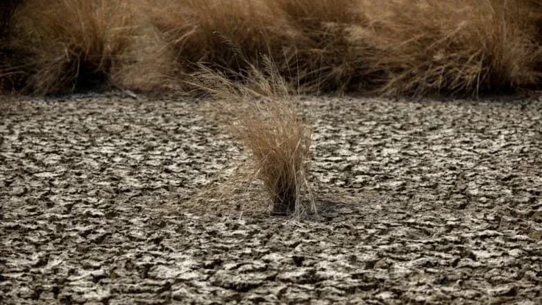BM’den El Nino uyarısı: Dünya üzerinde yıkıcı etkileri olacak