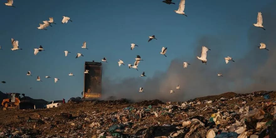 Güngör’de çıkan yangın iki toplumlu çevre komitesi tarafından ele alındı