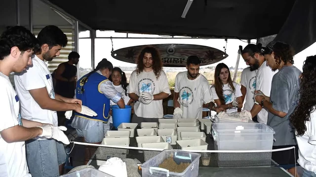Daü-SAGEM öncülüğünde yavru deniz kaplumbağaları deniz ile buluştu