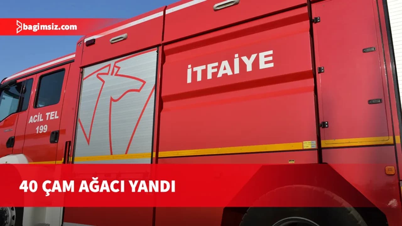 Muratağa-Sandallar Şehitliği yanında arazi yangını